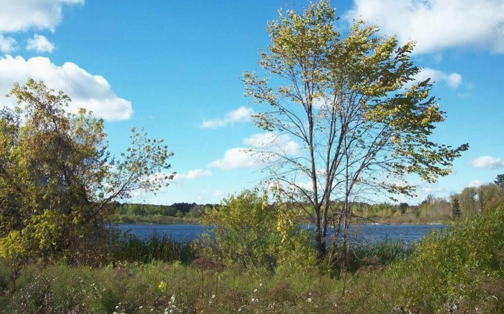 Forest Lake Motel غراند رابيدز المظهر الخارجي الصورة